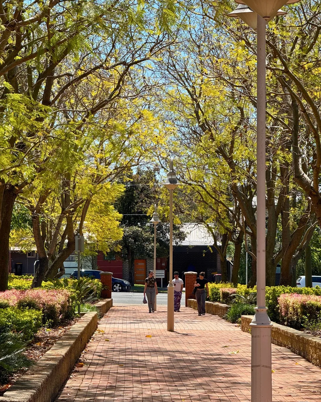 School gallery